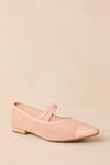 Beige Ballet Mesh Flats