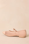 Beige Ballet Mesh Flats
