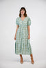 Victoria Dunn Hadley in Juniper Grove Dress