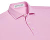Holderness and Bourne Perkins Polo